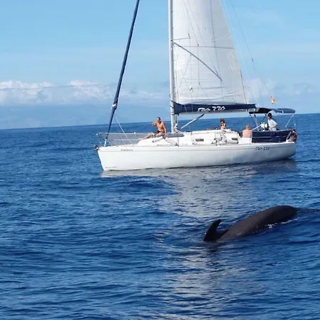 Сasa de vacaciones Casa Mercedes Tipica Canaria Tamaimo